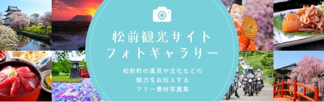 フォトギャラリー